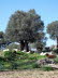 Port_Valldemossa_0009