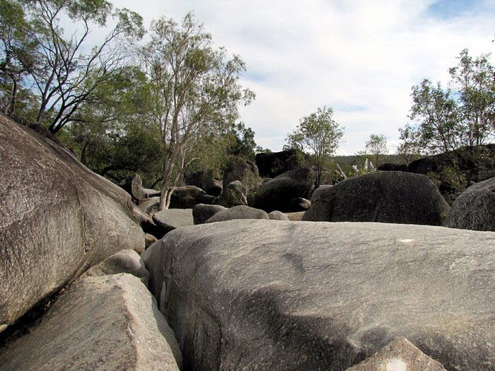 Queensland 10009