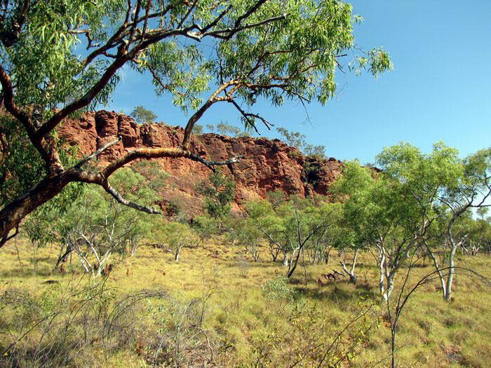 Queensland 50003