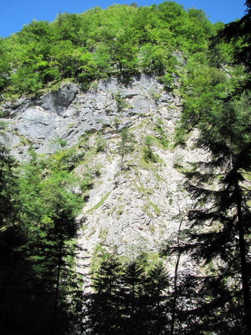 Tscheppaschlucht_h0004