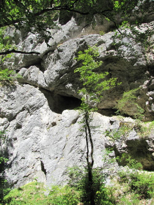 Tscheppaschlucht_h0010