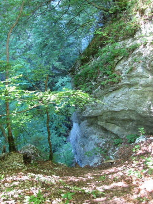 Tscheppaschlucht_h0015