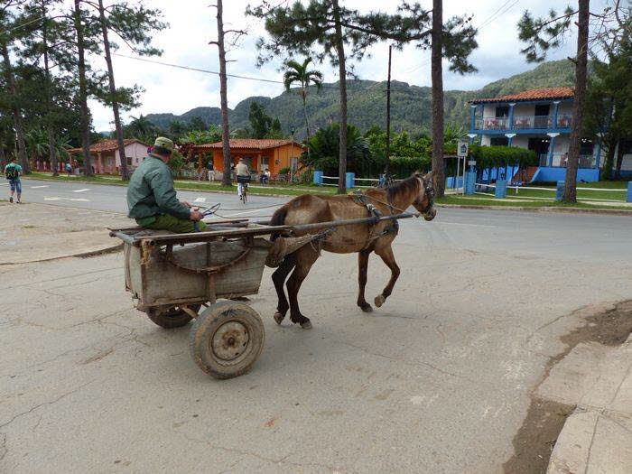 Vinales_0023