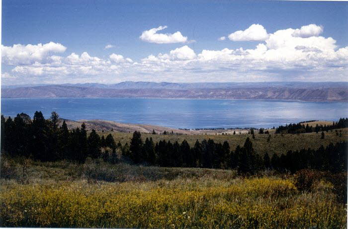 Yellowstone NP 1