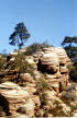 Zion NP