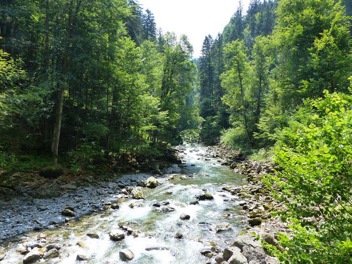 tn_Breitachklamm_0010